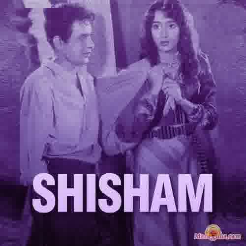 Poster of Shisham (1952)